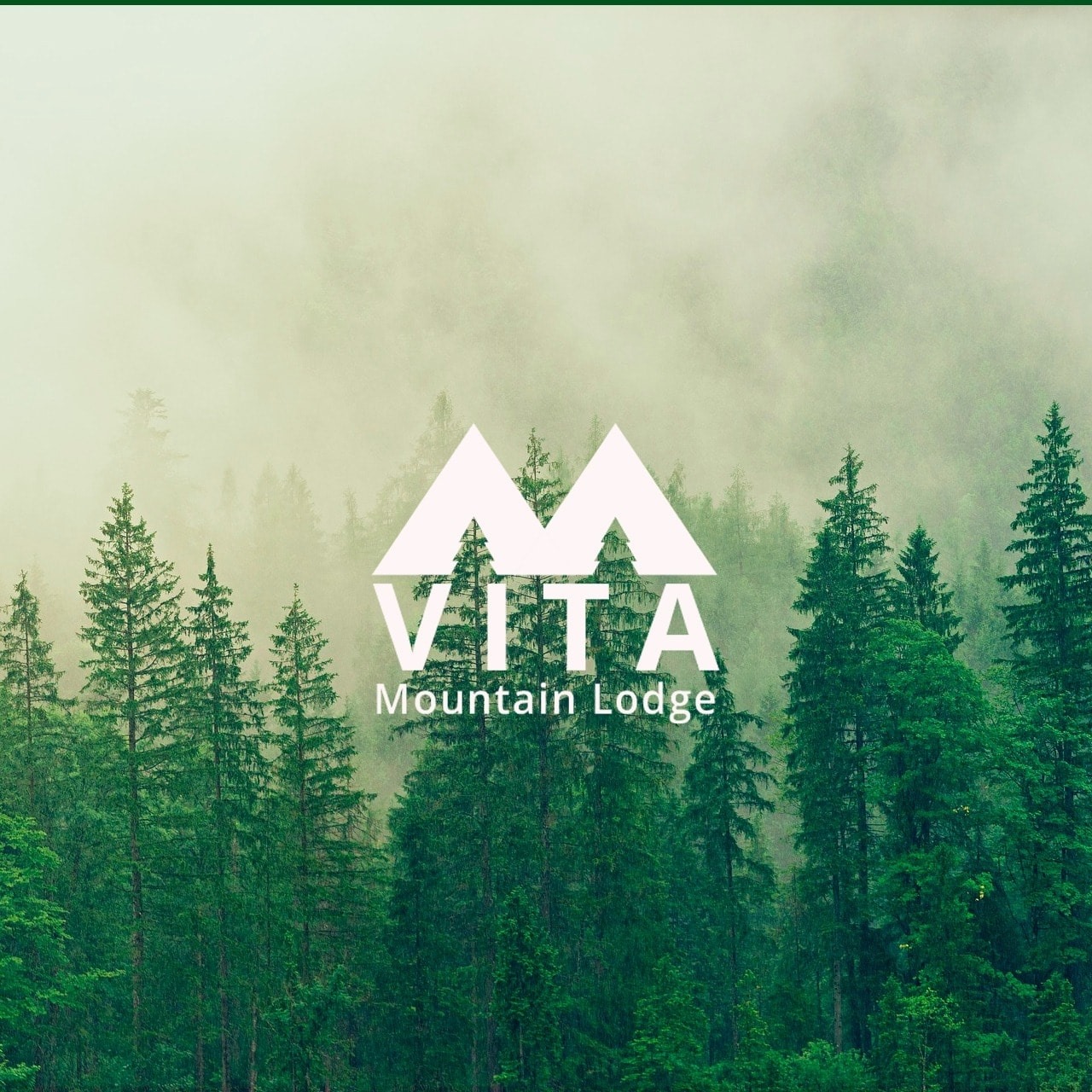 Vita Mountain Resort